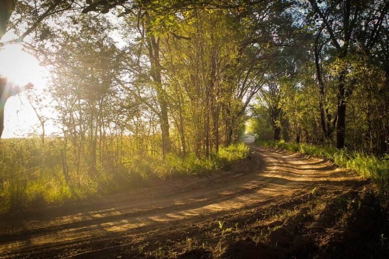 Lee más sobre el artículo La semana comienza con excelentes condiciones del tiempo y temperaturas en aumento
