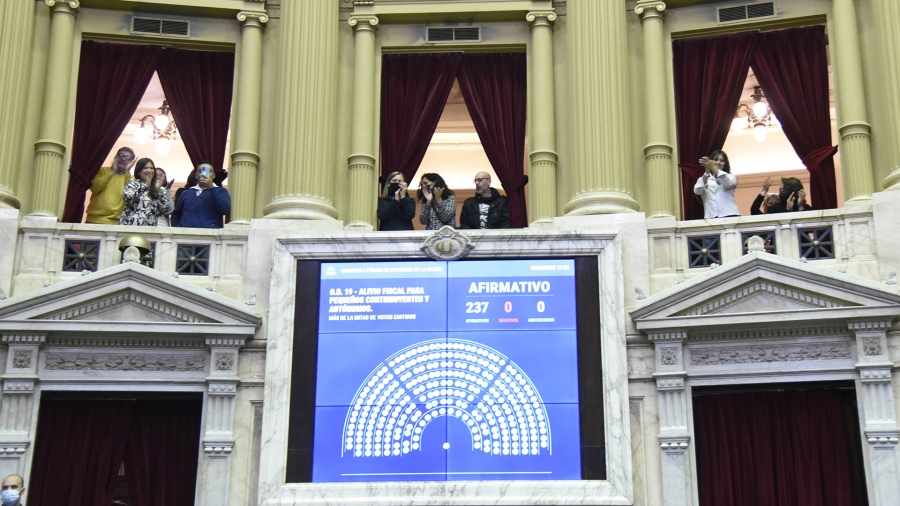 Read more about the article Diputados aprobó por unanimidad el alivio fiscal para monotributistas y autónomos