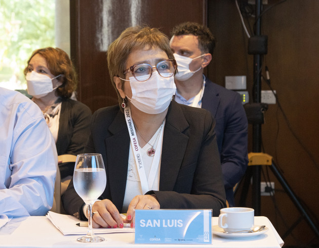 Read more about the article Dávila: “San Luis siempre dice presente en estos espacios para trabajar en un sistema de salud federal”