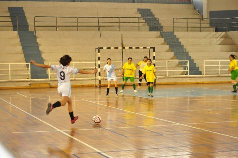 Lee más sobre el artículo Futsal en el Palacio de los Deportes