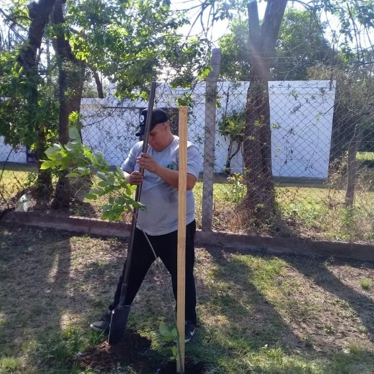 Lee más sobre el artículo Villa Mercedes: Continúan con las forestaciones