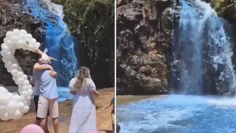 Lee más sobre el artículo Insólito: Tiñeron de azul una cascada de agua potable para revelar el sexo de su bebé
