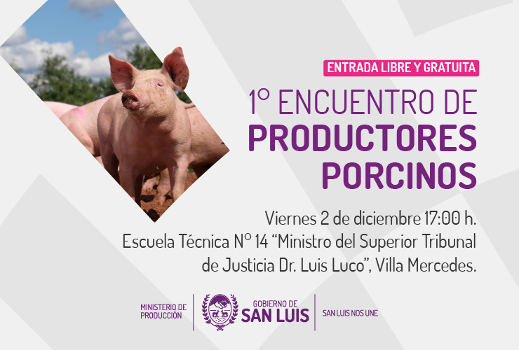 Read more about the article El Ministerio de Producción realizará el 1° Encuentro de Productores Porcinos en Villa Mercedes