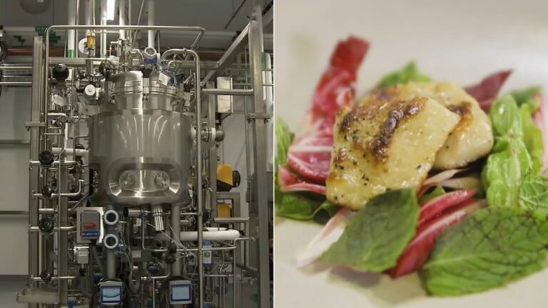 Lee más sobre el artículo Aprobaron la producción de carne cultivada a partir de células animales en Estados Unidos