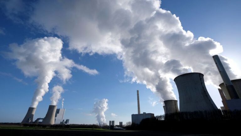 Lee más sobre el artículo El “pacto por salvar la naturaleza” fracasará si no se vigilan compromisos