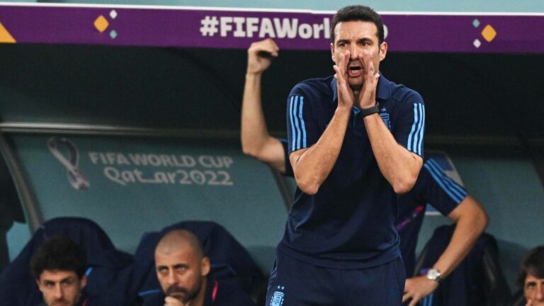 Lee más sobre el artículo Scaloni: “Ese festejo del final con la gente lo resume todo”