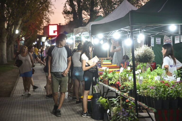 Lee más sobre el artículo Los Emprendedores de la Plaza San Martín volvieron a exhibir sus productos