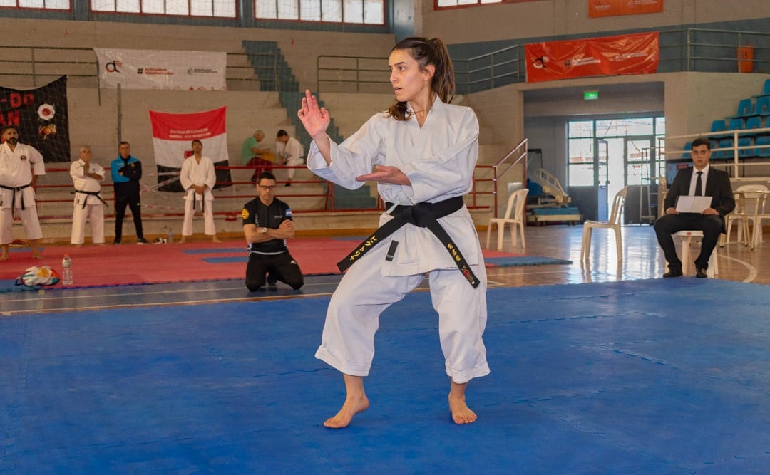 Read more about the article ¡Éxito en el campeonato interestilos de karate en el Palacio de los Deportes!