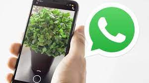 Read more about the article WhatsApp lanzó una nueva función que permite enviar fotos y videos en alta definición