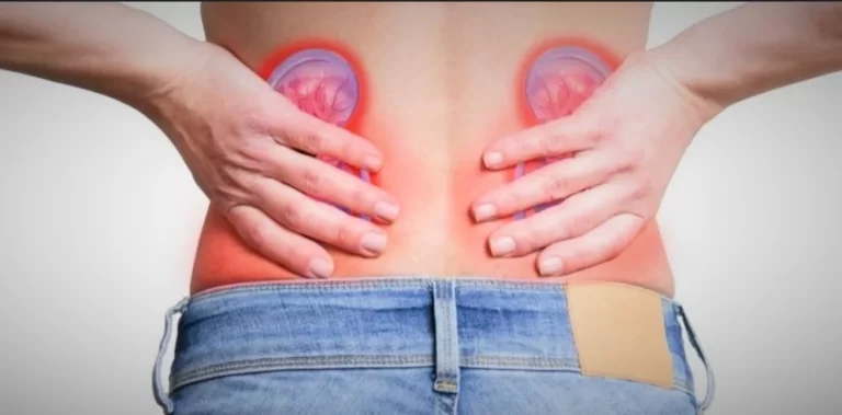 Lee más sobre el artículo La mafia de los trasplantes: una banda traficó 328 riñones humanos