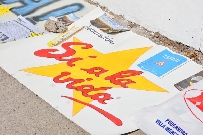 Lee más sobre el artículo Recordaron a las víctimas de accidentes de tránsito con un mural