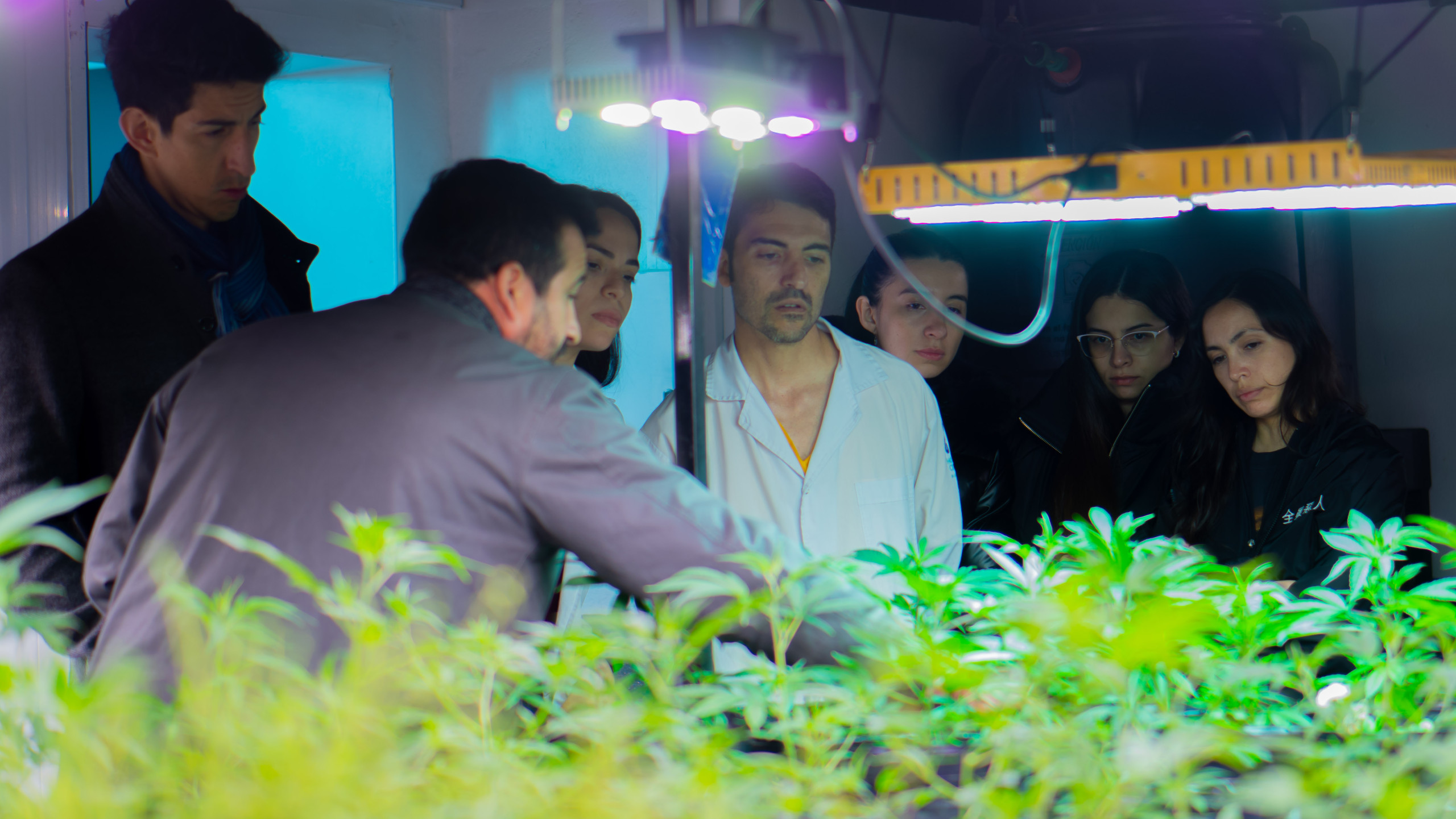 Read more about the article Médicos del Hospital Central visitaron las instalaciones del Proyecto Belgrano destinado a cannabis medicinal