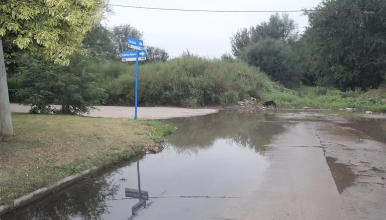 Lee más sobre el artículo Vecinos de Villa Mercedes Conviven con Agua Estancada y Yuyales: Preocupación por Dengue y Falta de Respuesta