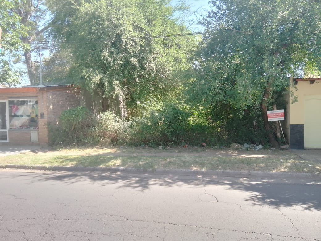 Lee más sobre el artículo Avanzan las inspecciones en terrenos de la ciudad.