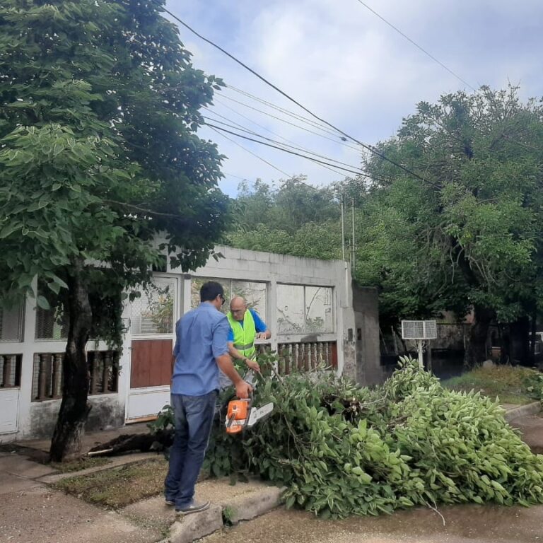 Lee más sobre el artículo Operativo de emergencia: despejan calles tras la tormenta