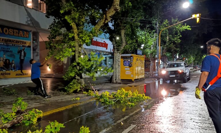 Lee más sobre el artículo Las tareas de limpieza y recuperación continúan después de la tormenta.