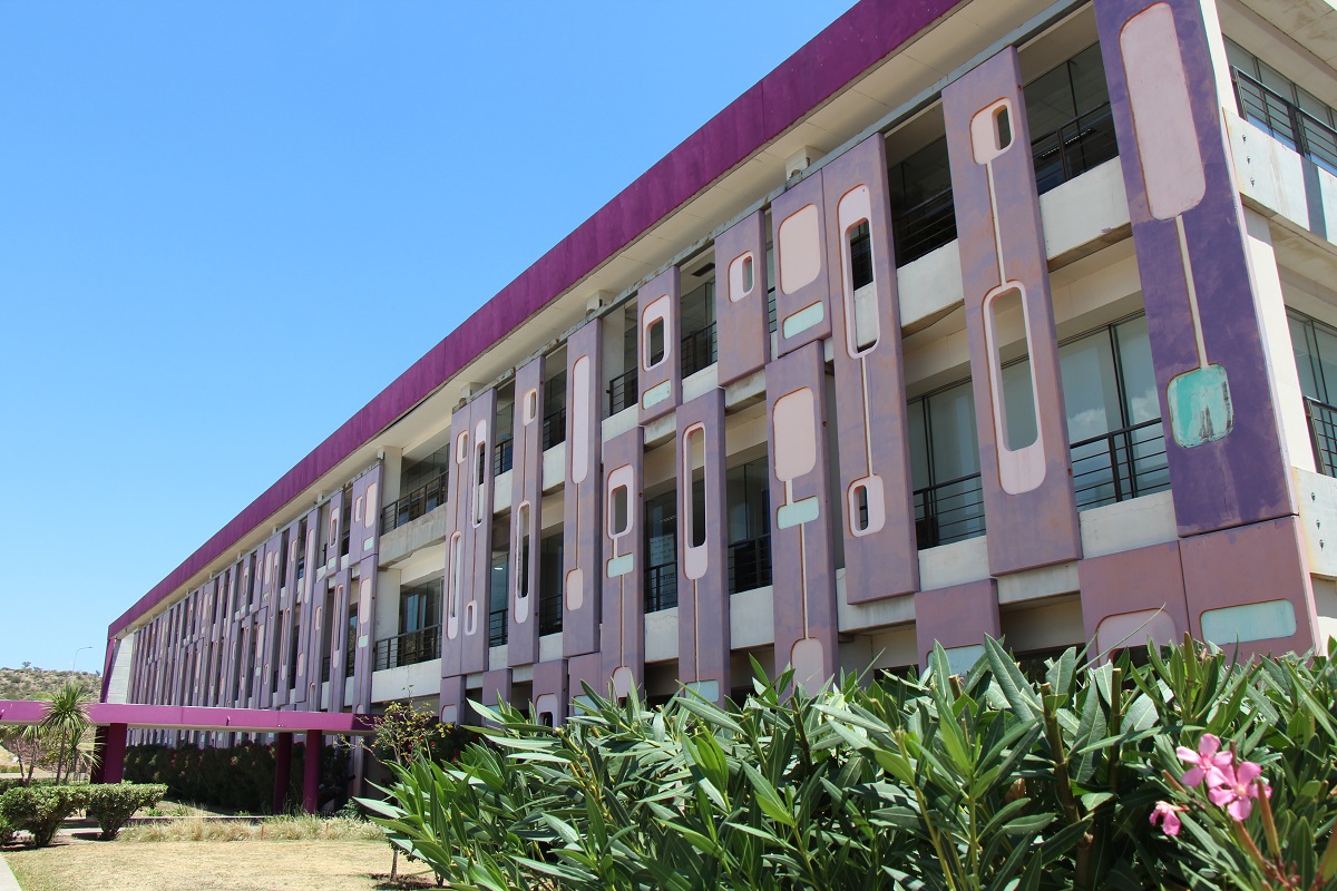 Lee más sobre el artículo Detectan el primer caso autóctono de dengue en la provincia