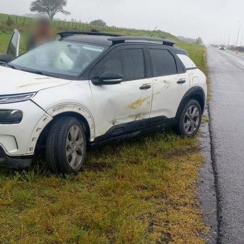 Lee más sobre el artículo Accidente en la Autopista de las Serranías Puntanas: un automóvil chocó contra un cerdo