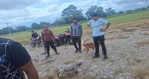 Lee más sobre el artículo Violencia animal en Jujuy: detuvieron a un joven que mató a una perra