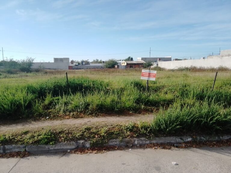 Lee más sobre el artículo Refuerzan las inspecciones en terrenos baldíos como parte del plan de prevención contra enfermedades transmitidas por mosquitos
