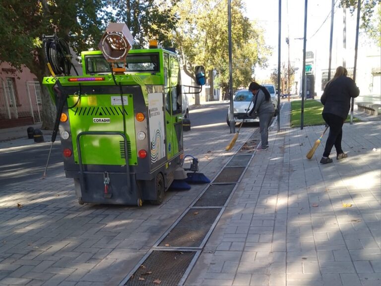 Lee más sobre el artículo SinMosquitoNoHayDengue: continúan los trabajos de limpieza y desmalezado en la ciudad