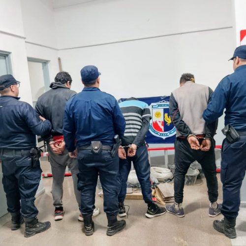 Lee más sobre el artículo Villa Mercedes: seis personas demoradas, elementos robados recuperados y rescate de un perro durante allanamientos por robo