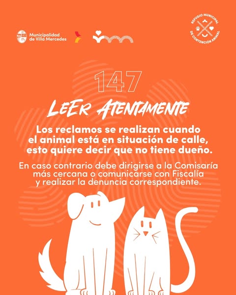 Lee más sobre el artículo El Refugio de Contención Animal recuerda cómo proceder ante casos de animales sin dueño