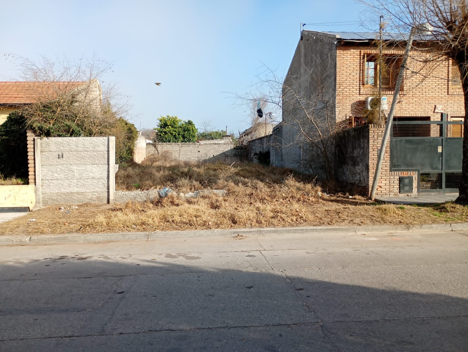 En este momento estás viendo Continúan las inspecciones en terrenos baldíos de la ciudad