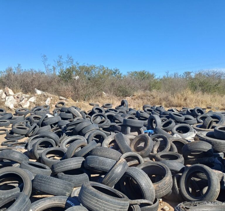 Lee más sobre el artículo Villa Mercedes: operativo de recolección de neumáticos arrojados en la Ruta 2B