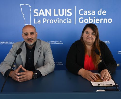 Lee más sobre el artículo El cuarto remate automotor provincial se realizará el 29 de noviembre en San Luis