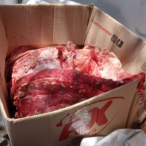 Lee más sobre el artículo Villa Mercedes: la Policía realizó un allanamiento por una causa de abigeato y secuestró de carne vacuna