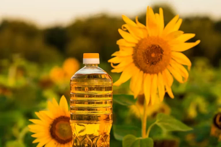 Lee más sobre el artículo Argentina afianza su relación comercial con Estados Unidos como principal comprador nacional