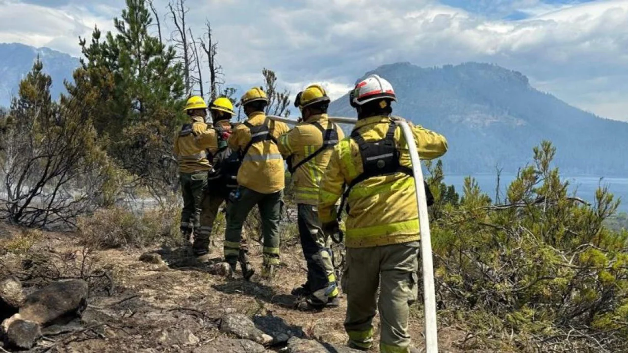 Lee más sobre el artículo Drama en la Patagonia: el fuego ya afectó 45 mil hectáreas y hay cuatro parques en alerta