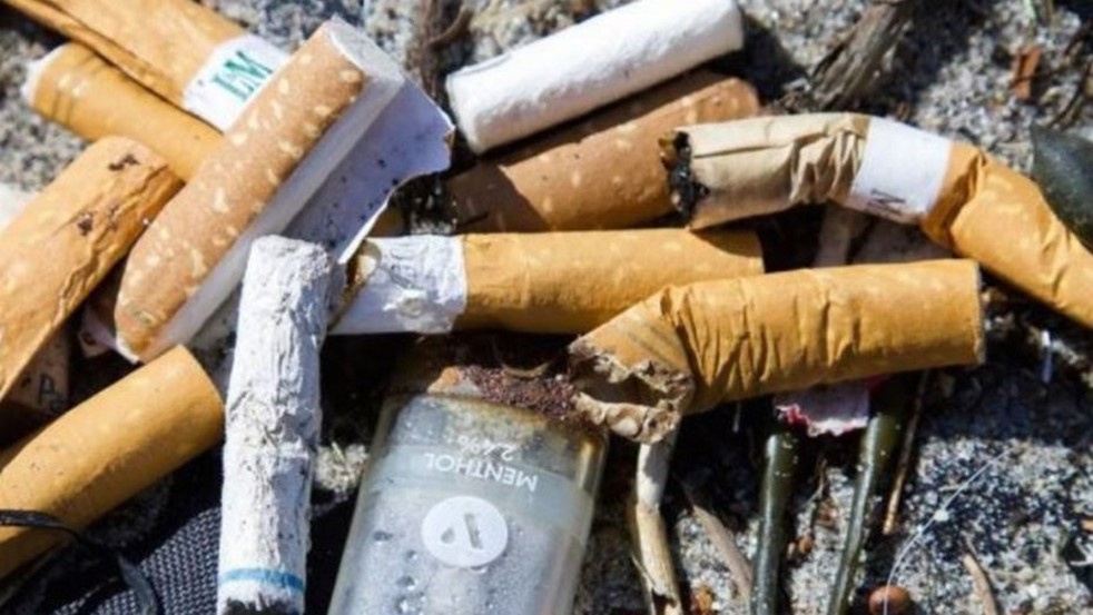 Read more about the article Las colillas de los cigarros, el producto que genera más basura tóxica en el mundo