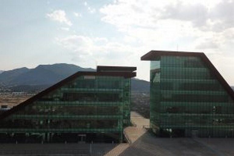 Lee más sobre el artículo Decreto del gobernador por el Día Internacional de las Mujeres Trabajadoras