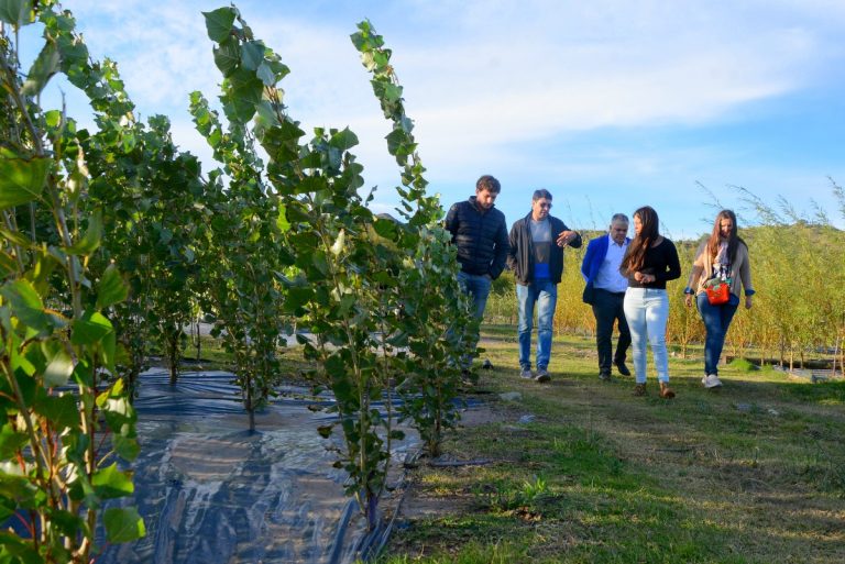 Lee más sobre el artículo Funcionarios de Chaco visitaron San Luis para interiorizarse sobre el proyecto forestal de la provincia