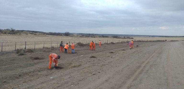 Lee más sobre el artículo Comenzó a funcionar la red de alianzas estratégicas para la forestación de 1 millón de árboles en la provincia