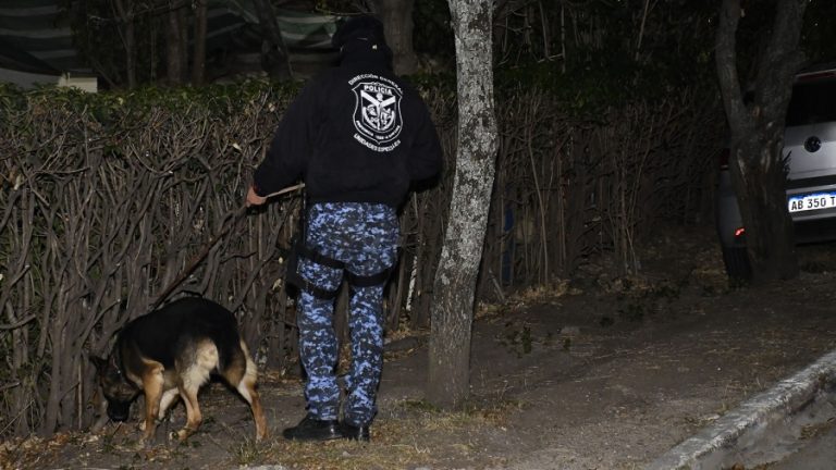 Lee más sobre el artículo Levantan el rastrillaje en la búsqueda del cuerpo de Guadalupe Lucero