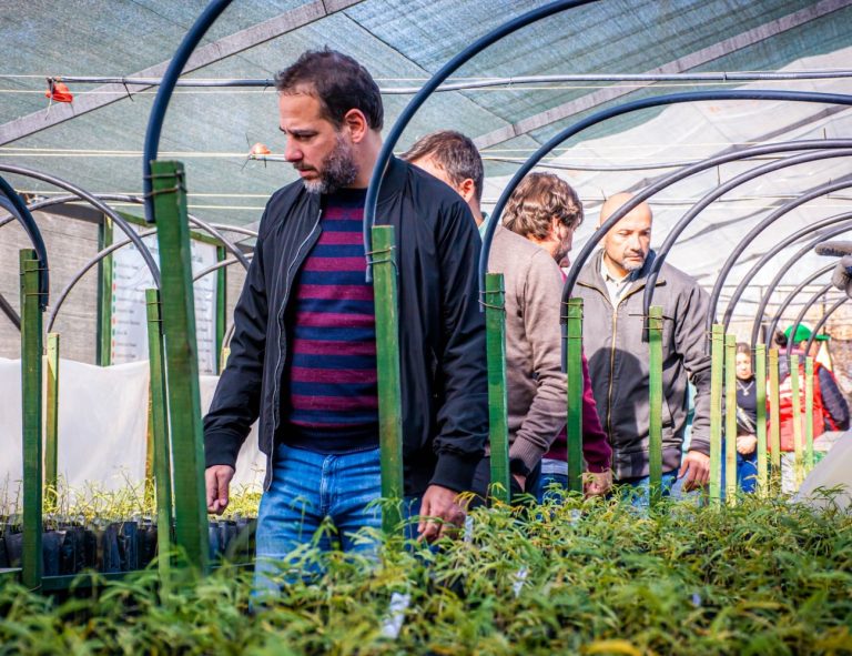 Lee más sobre el artículo Turismo se sumó al Plan Forestal “Más Árboles, Más Vida”