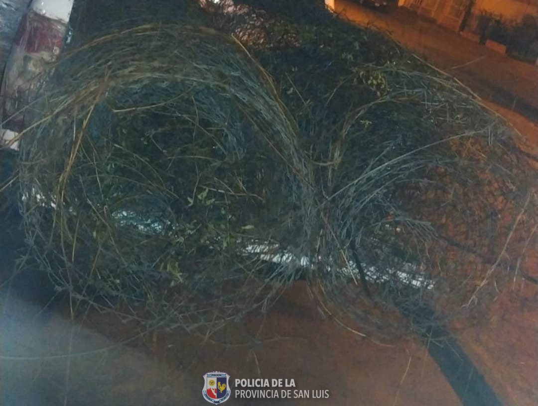 You are currently viewing Villa Mercedes: Policías sorprendieron a un hombre sustrayendo tejido perimetral