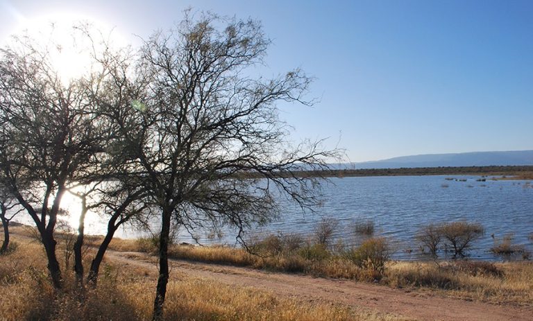 Lee más sobre el artículo Este lunes será soleado con leve ascenso de las temperaturas máximas