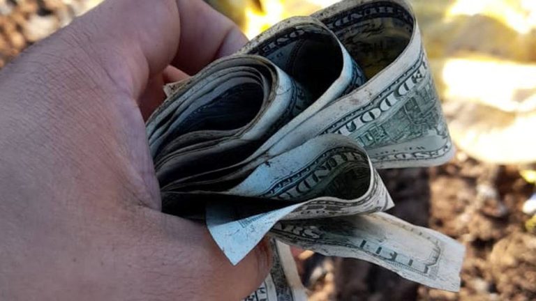 Lee más sobre el artículo El misterio de los miles de dólares hallados en un basural: el origen del dinero