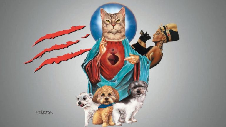 Lee más sobre el artículo ¿Qué tiene un gato en la cabeza? Mitos y prejuicios bajo la lupa de la ciencia