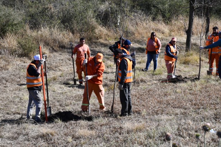Lee más sobre el artículo El Programa de Forestación y Parquización de Rutas plantó este martes más de 2900 árboles