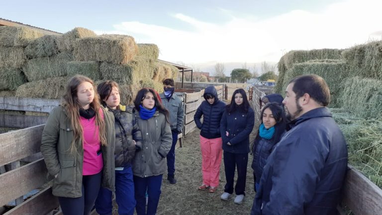 Lee más sobre el artículo Alumnos de Veterinaria de la UCCuyo sumaron nuevos conocimientos en su visita al módulo genético de Sol Puntano