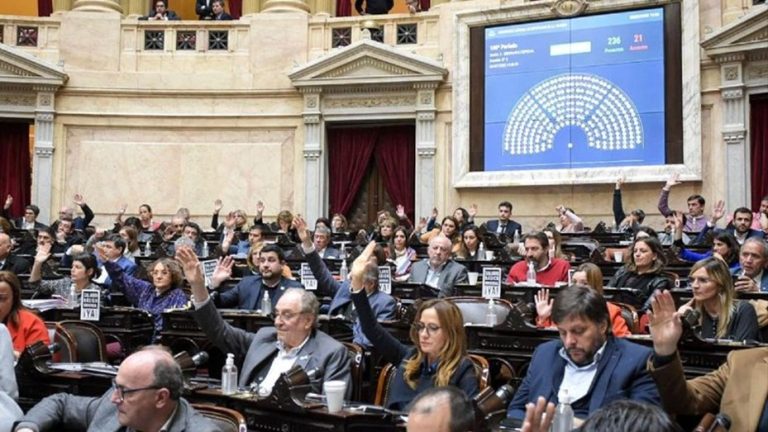 Lee más sobre el artículo Diputados oficialistas exigen “identificar a los policías que reprimieron a Máximo Kirchner”