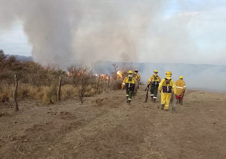 Lee más sobre el artículo Controlaron el incendio en cercanías de Donovan