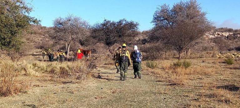 Lee más sobre el artículo Controlaron el incendio forestal en el noreste de la provincia