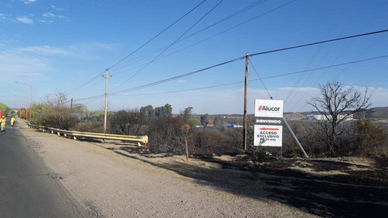 Lee más sobre el artículo Bomberos y brigadistas trabajaron en los focos ígneos registrados en la provincia