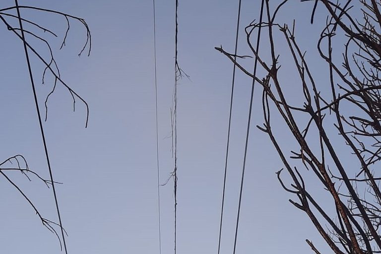 Lee más sobre el artículo Un incendio en el norte provincial también daña trazado de fibra óptica